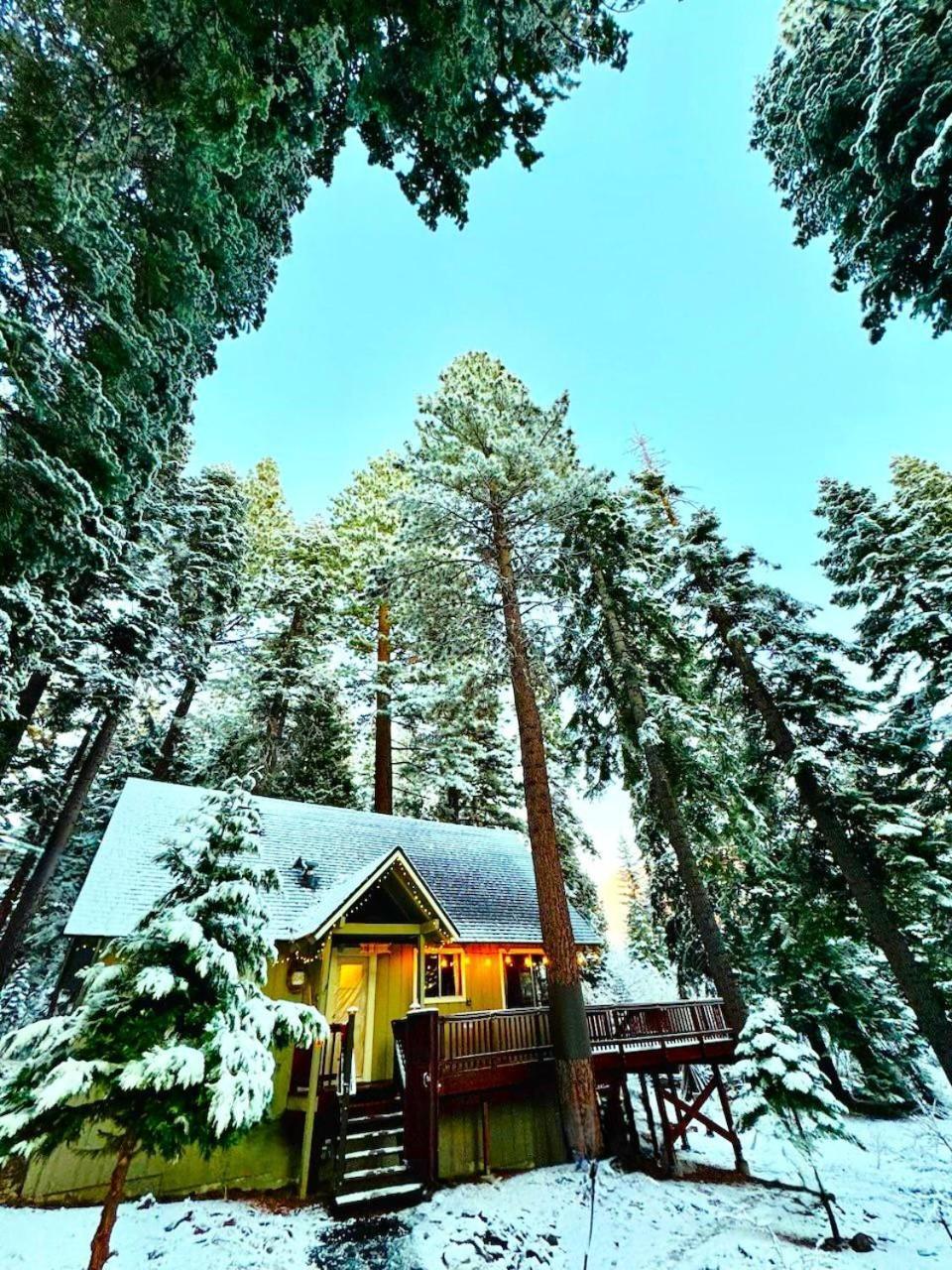 The Honey Bear Cabin Carnelian Bay 外观 照片