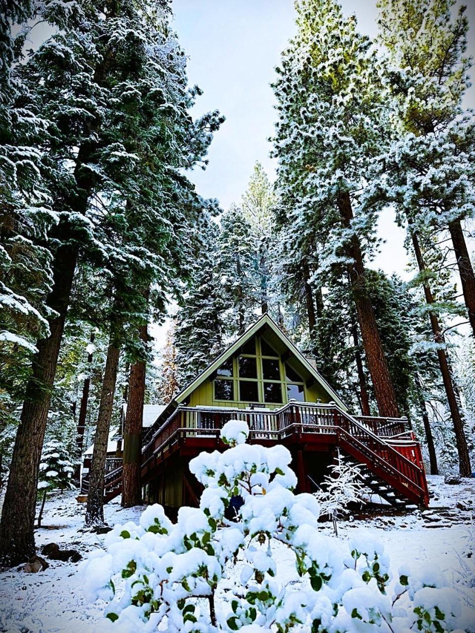 The Honey Bear Cabin Carnelian Bay 外观 照片
